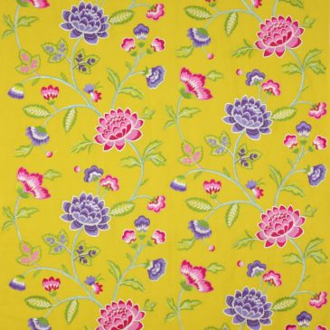 SPOTLIGHT: Manuel Canovas