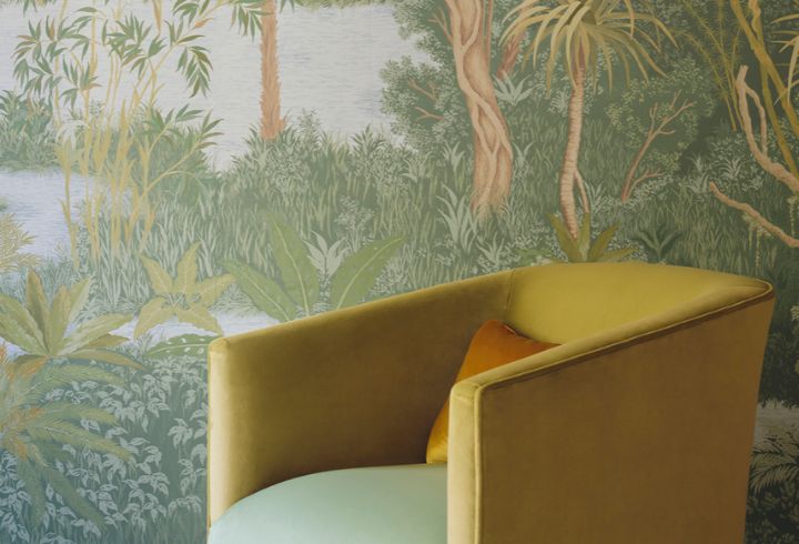 Manuel Canovas