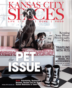 Kansas City Spaces February 2016 Issue Cover