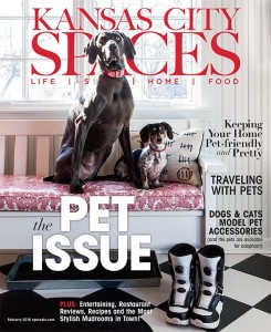 Spaces Kansas City February 2016 Issue cover image