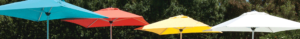 Treasure Garden Image