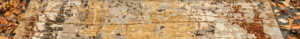 Tamarian Header Image