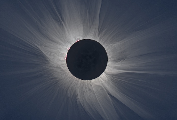 Solar Eclipse Viewing Party: Monday, August 21, 2017
