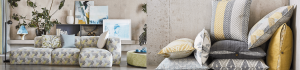 MN Trunk Show Header Image