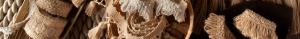 Des Moines Trunk Show Header Image