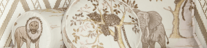 Wichita Trunk Show Header Image