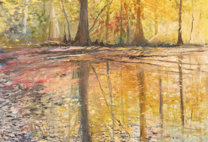 Bennett Galleries